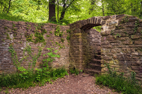 Ruine der Rodenburg
